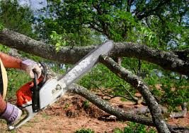 Best Lawn Irrigation Installation and Maintenance  in Wading River, NY