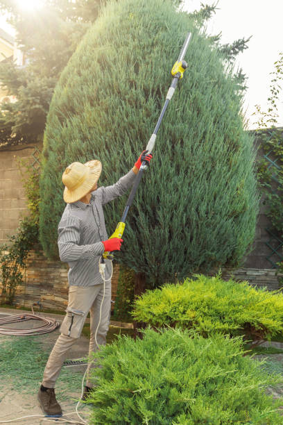 Best Lawn Mowing  in Wading River, NY